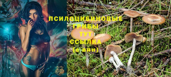 дурь Баксан