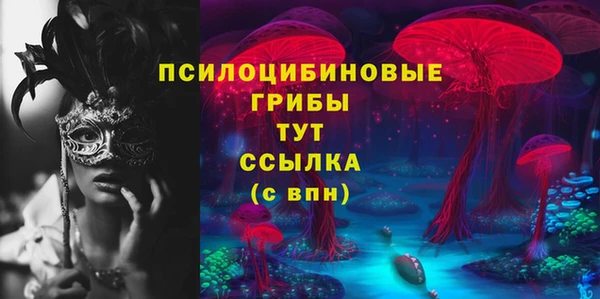 альфа пвп Надым